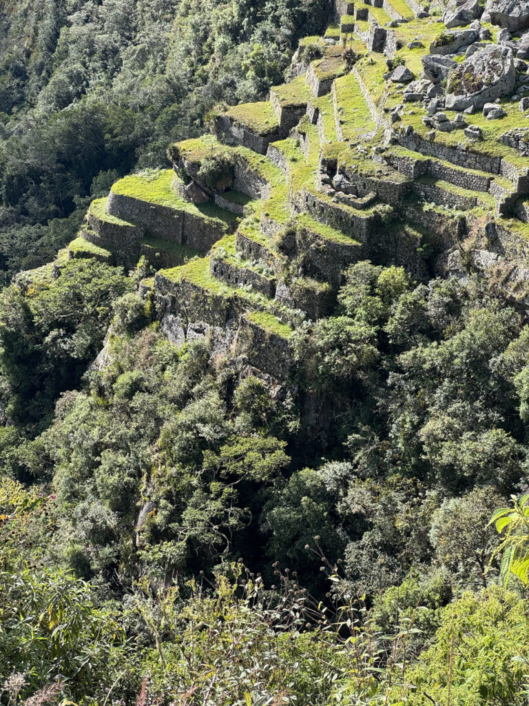 The image shows a series of ancient stone terraces built into a steep hillside, covered with grass and surrounded by dense green forest. The terraces are constructed with stone walls and have a stepped appearance, indicating historical agricultural or architectural use. The lush vegetation and rugged terrain suggest a mountainous or highland environment.