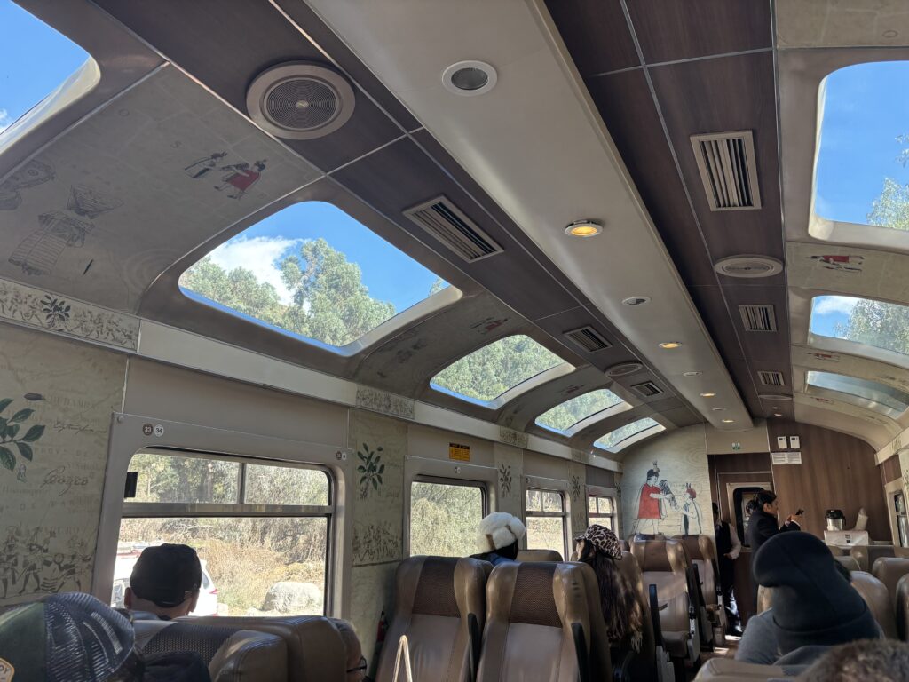 The image shows the interior of a train car with large windows and a glass ceiling, allowing natural light to illuminate the space. Passengers are seated in rows, some wearing hats and jackets. The walls and ceiling are decorated with illustrations and patterns. Outside the windows, trees and a clear blue sky are visible.