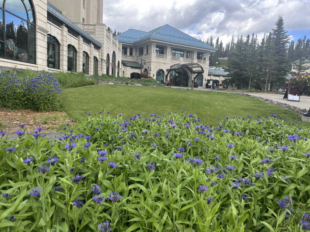 A landscaped garden with a bed of purple flowers in the foreground, leading to a well-maintained lawn. In the background, there is a large building with arched windows and a blue roof. The sky is cloudy, and there are tall evergreen trees surrounding the area.