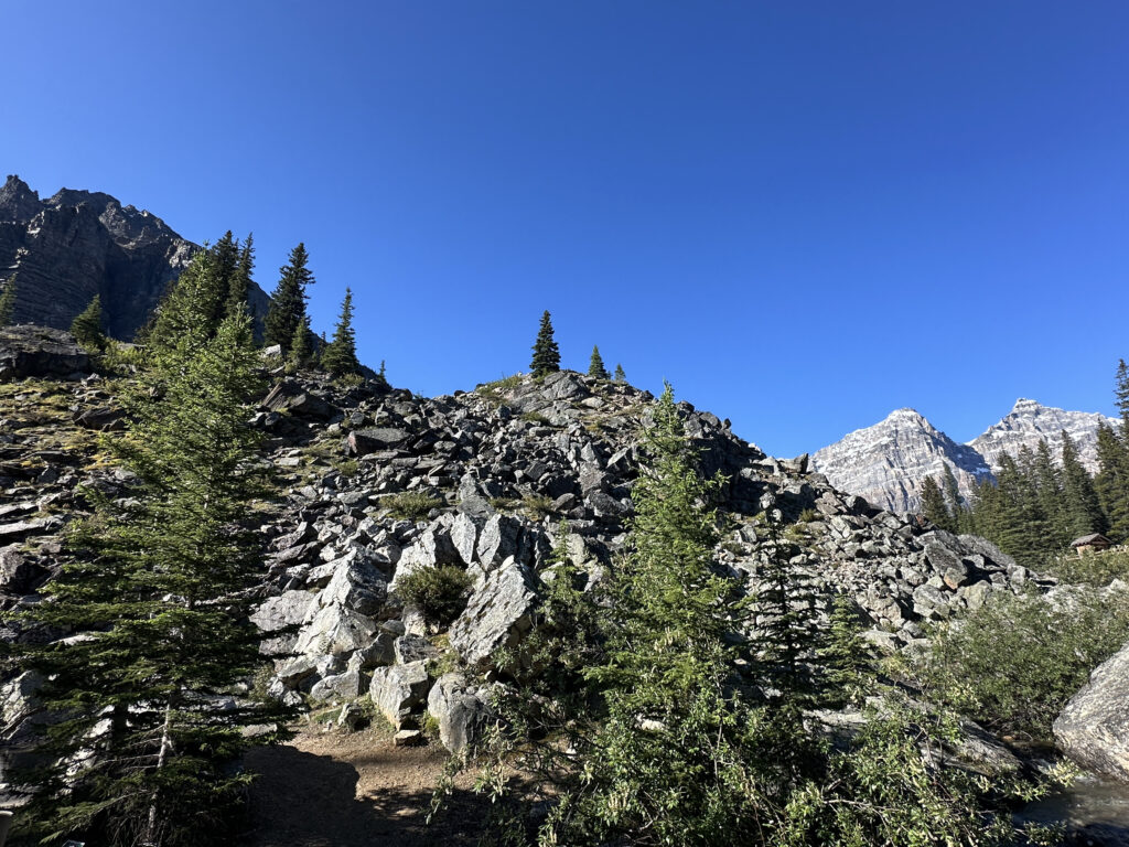 A scenic view of a mountainous landscape under a clear blue sky. The foreground features rocky terrain with scattered evergreen trees. In the background, snow-capped peaks rise prominently, surrounded by dense forest. The scene conveys a sense of natural beauty and tranquility.