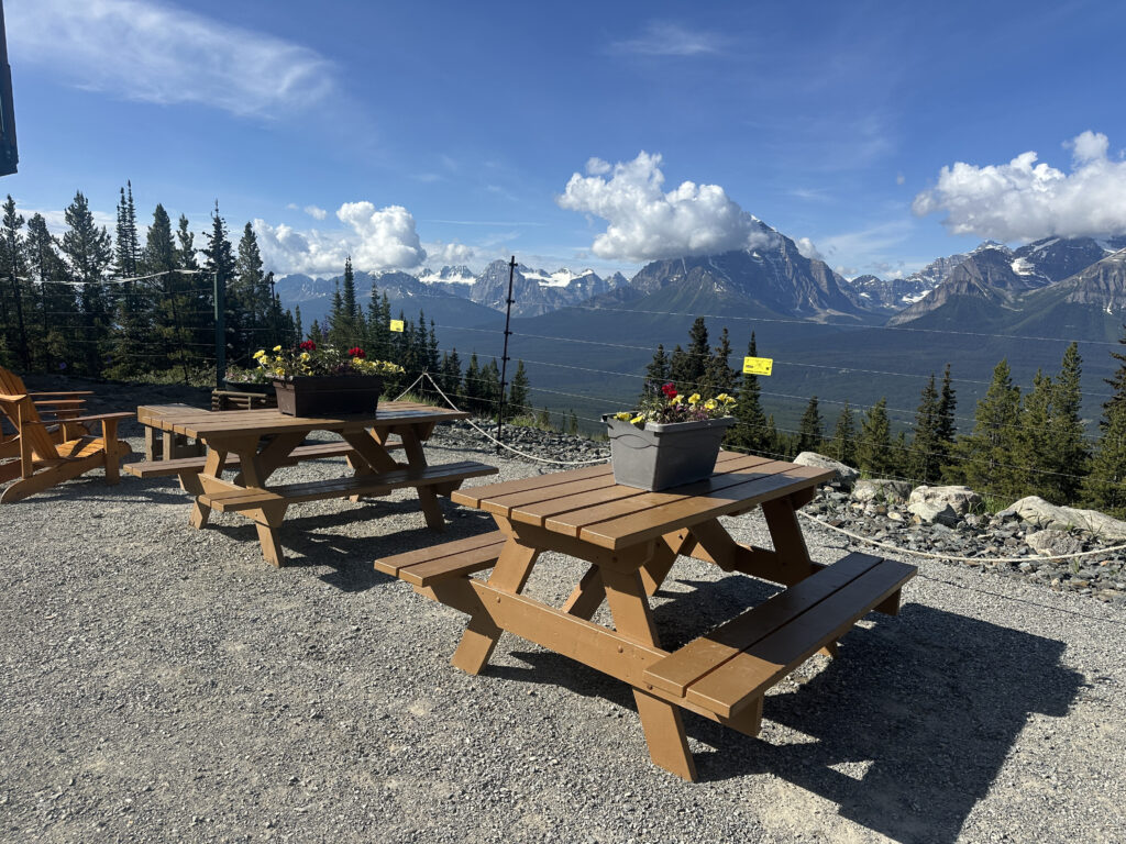 The image shows a scenic outdoor area with wooden picnic tables and chairs on a gravel surface. Each table has a planter with colorful flowers. In the background, there are tall evergreen trees and a stunning view of snow-capped mountains under a blue sky with scattered clouds.