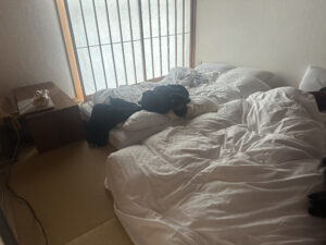 A room with a tatami mat floor features a low bed with white rumpled bedding. Clothes and a pair of shoes are scattered on the bed. A wooden side table holds a few items, including a wrapped package. A shoji screen window allows diffused light into the room.