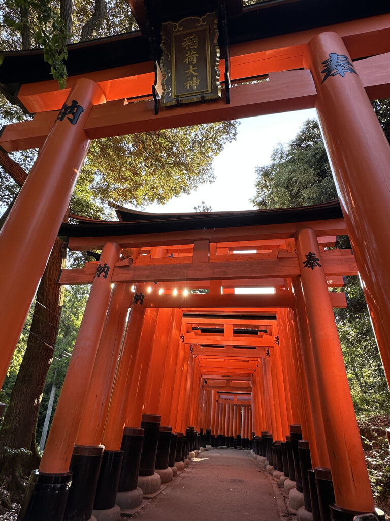The image shows a series of vibrant orange torii gates forming a tunnel-like pathway at Fushimi Inari Shrine in Kyoto, Japan. The gates are closely spaced, creating a striking visual effect. Sunlight filters through the trees above, casting dappled light on the path. Japanese characters are visible on the gates.