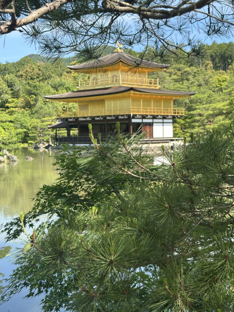 A traditional Japanese golden pavilion is situated by a tranquil pond, surrounded by lush greenery and trees. The structure has multiple tiers with a dark roof, and the scene is framed by pine branches in the foreground. The background features a forested hillside under a clear blue sky.