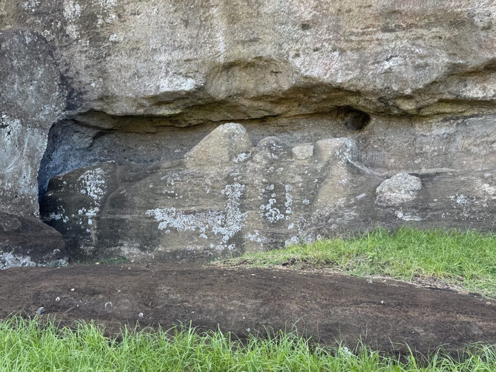 A rock face with a rough, textured surface, featuring patches of lichen and moss. The rock has a natural overhang and is surrounded by a small area of green grass at the base. The overall appearance is rugged and weathered.