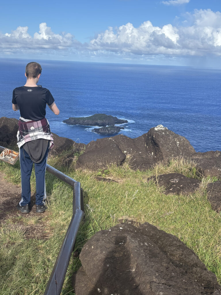 A person is standing on a grassy cliff overlooking the ocean. They have a plaid shirt tied around their waist and are facing away from the camera. In the distance, there is a small rocky island surrounded by the sea. The sky is partly cloudy, and there is a metal railing along the edge of the cliff.