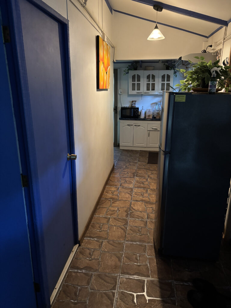 A narrow kitchen hallway with a tiled floor. On the left, there is a blue door and a wall with a painting of oranges. On the right, a refrigerator is visible with plants on top. At the end of the hallway, there is a kitchen area with white cabinets, a microwave, and various kitchen items. A ceiling light hangs above, illuminating the space.