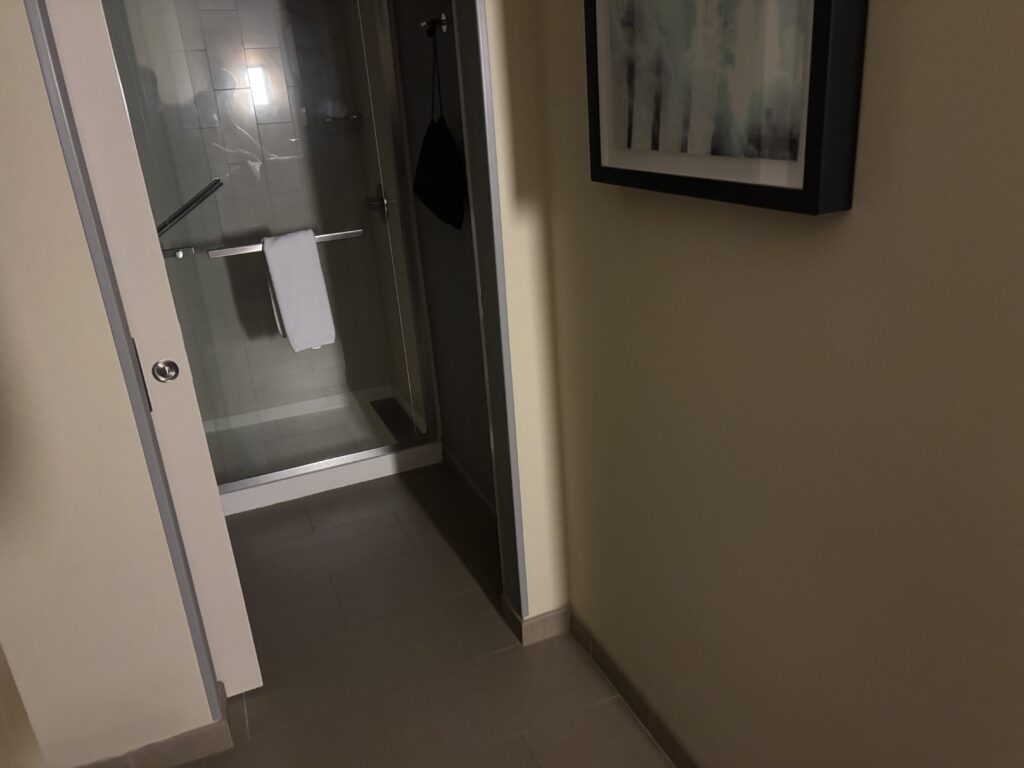 The image shows a bathroom with a glass shower door. A white towel is hanging on the handle of the shower door. There is a framed abstract painting on the wall to the right of the shower. The floor is tiled, and the lighting is dim.