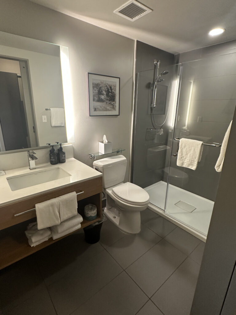 The image shows a modern bathroom with a large mirror above a sink, which has a wooden vanity with towels stored underneath. There are two bottles of soap or lotion on the counter. A toilet is positioned next to a glass-enclosed shower with a towel hanging on the door. The walls are light-colored, and there is a framed picture hanging above the toilet. The floor is tiled, and there is a small trash bin next to the vanity.