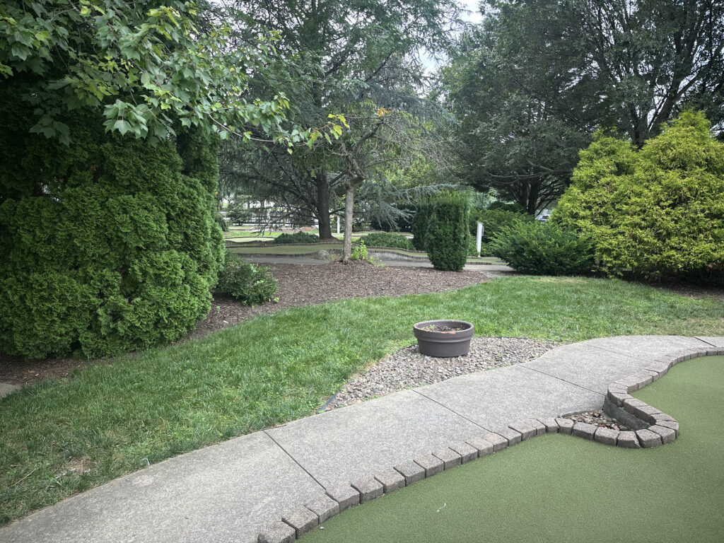 A landscaped garden area with a variety of green trees and shrubs. There is a curved concrete path bordered by small bricks, leading through the garden. A round planter with soil is placed on a section of gravel next to the path. The grass is neatly trimmed, and the scene is surrounded by lush foliage.