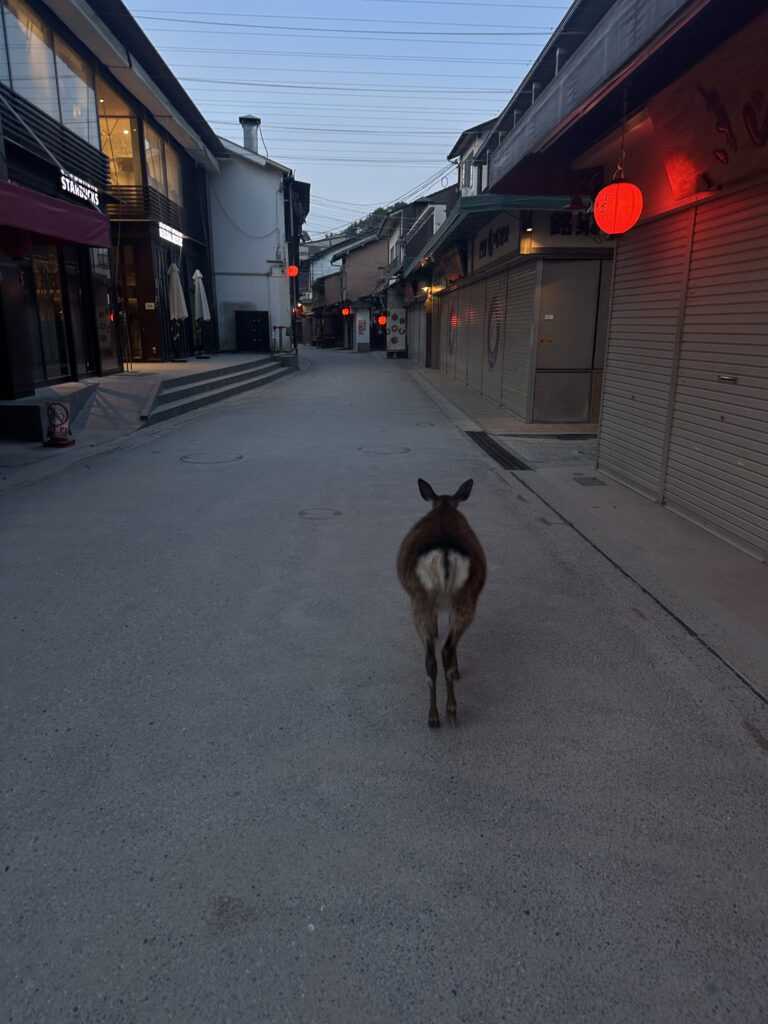 A deer is walking down an empty street lined with closed shops. The street is illuminated by red lanterns hanging from the buildings, and the sky is a soft blue, suggesting early morning or evening.