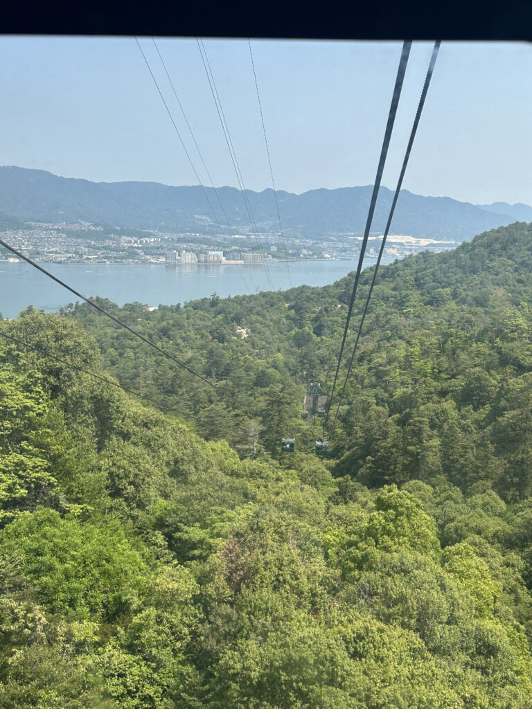 A scenic view from a cable car overlooking a lush green forest. The cable car lines stretch across the image, leading towards a distant cityscape by a body of water. In the background, there are mountains under a clear blue sky.