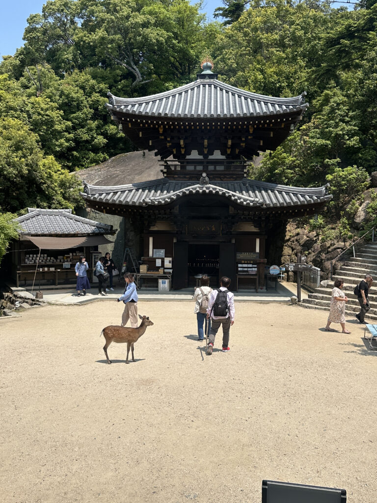 A traditional Japanese temple with a multi-tiered roof is surrounded by lush green trees. In front of the temple, several people are walking on a sandy area. A deer is also present, standing near the people. The scene is peaceful and sunny.