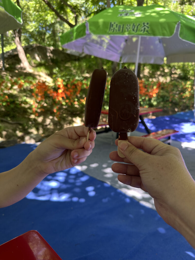 a person holding a chocolate covered popsicle