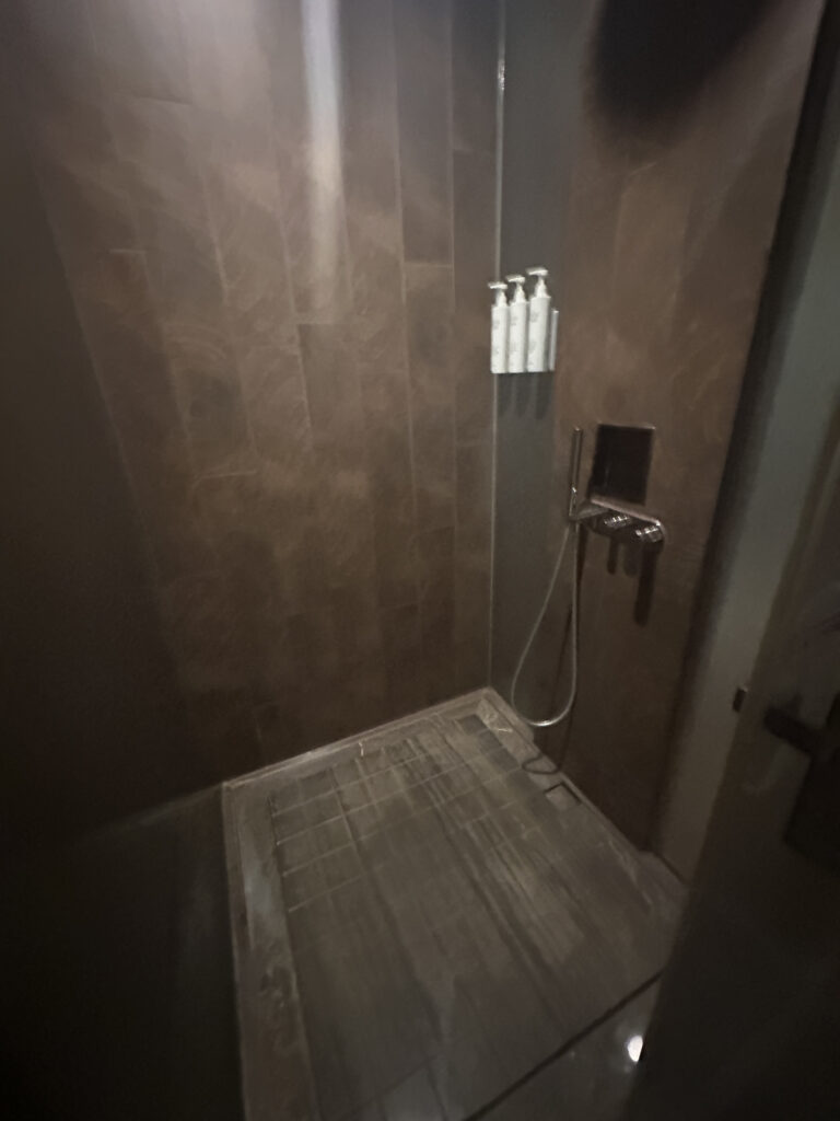 The image shows a modern shower area with dark brown tiles. There are three wall-mounted dispensers for toiletries and a handheld showerhead attached to the wall. The floor is tiled with a slightly raised edge around the perimeter. The lighting is dim, creating a cozy atmosphere.
