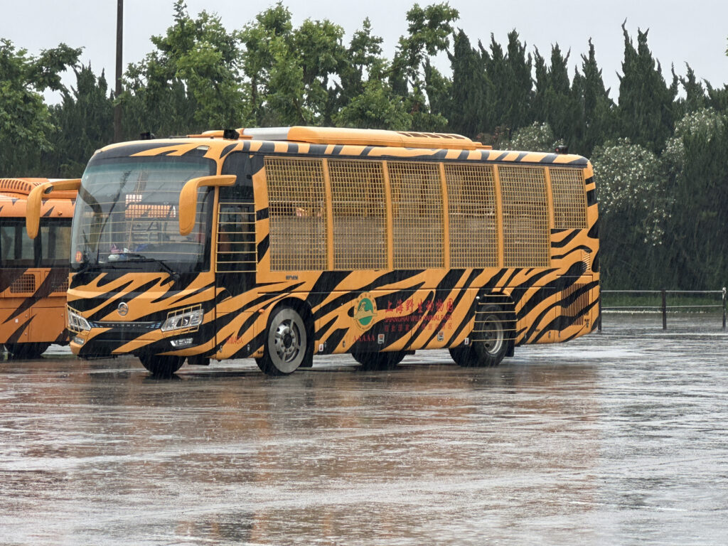 The image shows a bus with a tiger stripe pattern parked on a wet surface, likely due to rain. The bus has a cage-like structure on its sides and is painted in orange and black stripes, resembling a tiger. In the background, there are trees and another similar bus partially visible. The scene appears to be outdoors on a rainy day.