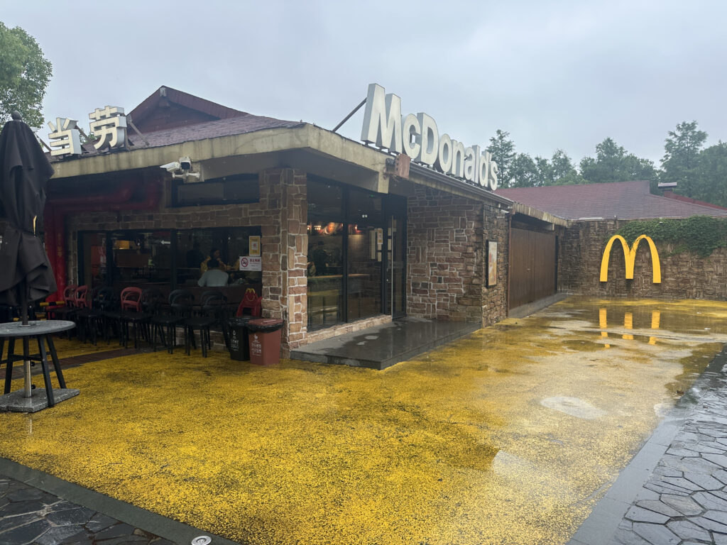 The image shows the exterior of a McDonald's restaurant with a stone facade. The McDonald's logo is prominently displayed on the building and on a nearby wall. There are outdoor seating areas with tables and chairs, and the ground is wet, suggesting recent rain. The sky is overcast, and there are trees in the background.