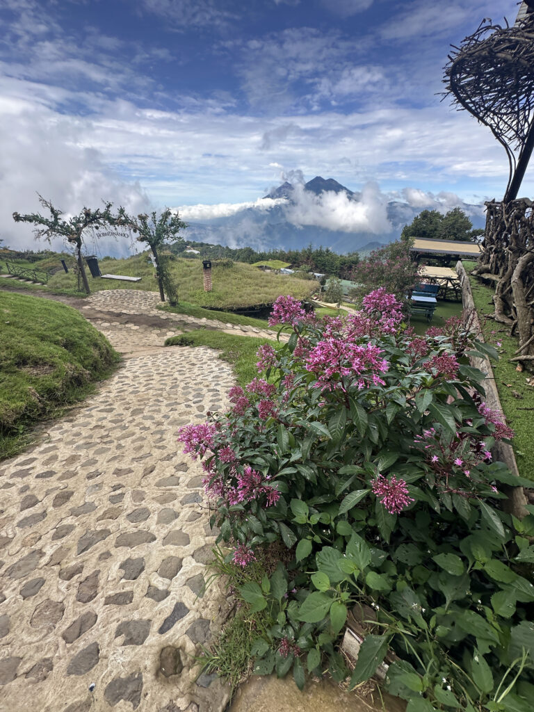 A scenic landscape featuring a cobblestone path leading through a grassy area with pink flowering plants on the right. In the background, there are mountains partially covered by clouds under a blue sky. A wooden archway and rustic structures are visible, adding to the natural and serene atmosphere.