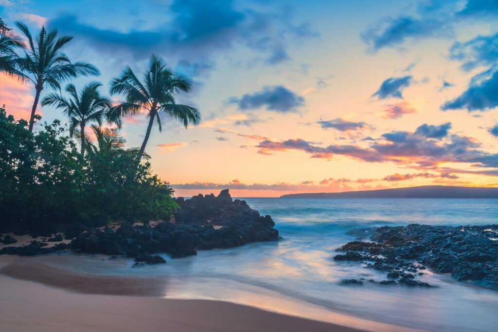 A serene beach scene at sunset, featuring palm trees silhouetted against a colorful sky with hues of orange, pink, and blue. The ocean waves gently lap against the rocky shoreline, and the horizon is visible in the distance.